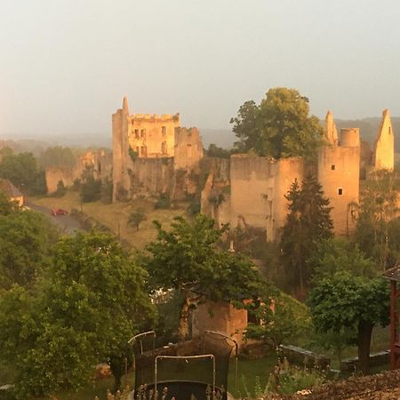 Chez Fred Avec Vue Sur Le Chateau Angles-sur-lʼAnglin Exterior foto