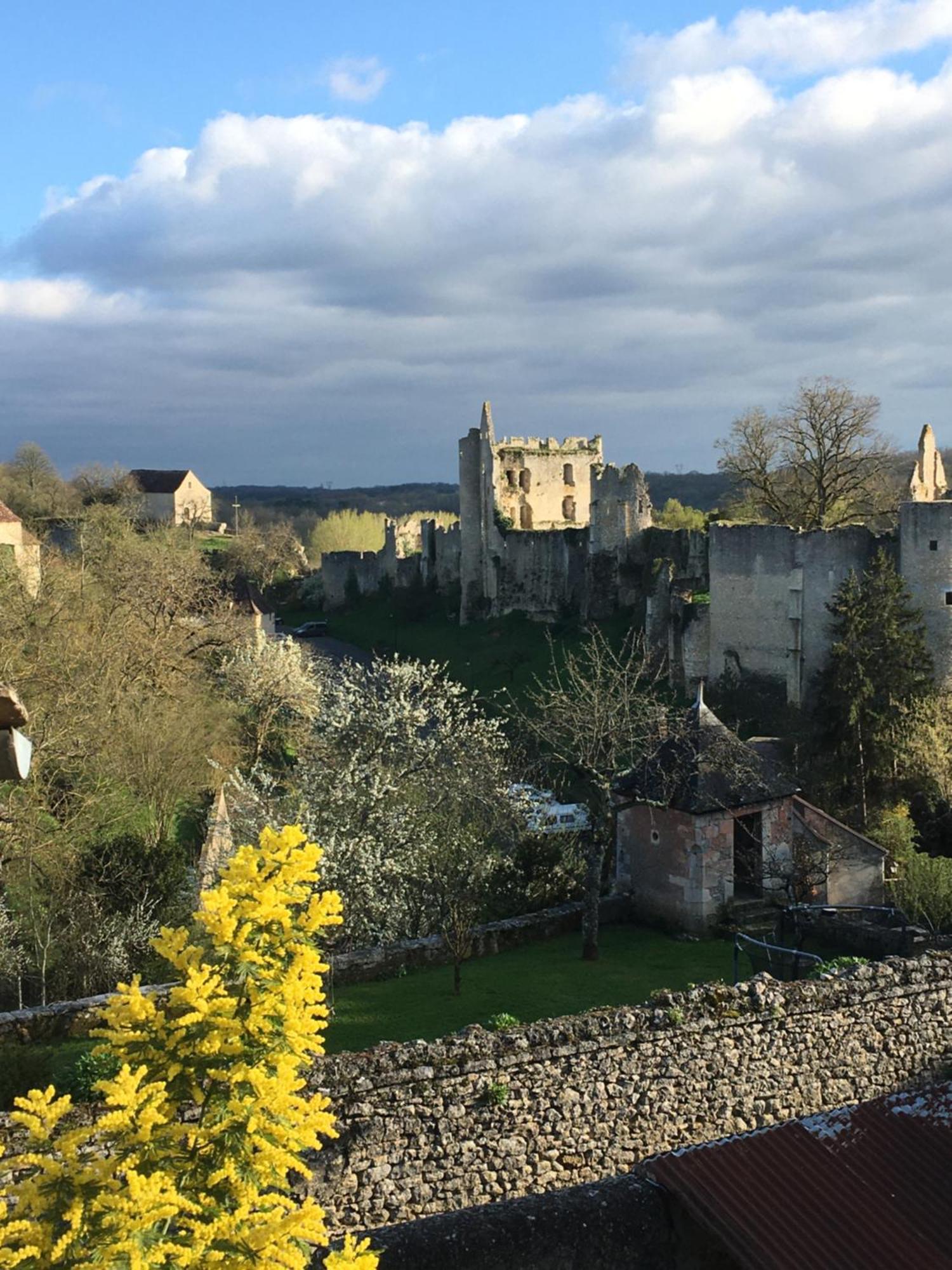 Chez Fred Avec Vue Sur Le Chateau Angles-sur-lʼAnglin Exterior foto